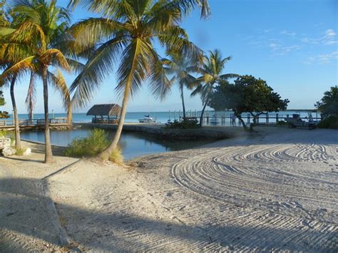 Coral Bay Resort - UPDATED 2017 Prices & Motel Reviews (Islamorada, FL) - TripAdvisor