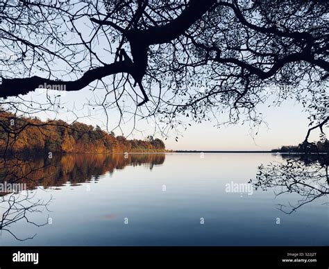 Milngavie Reservoir reflection with branches overhead Stock Photo - Alamy