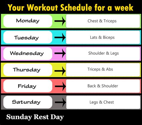 Full Week GYM Workout Plan – Fitness Workouts & Exercises