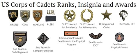 Usma Rank Insignia Chart