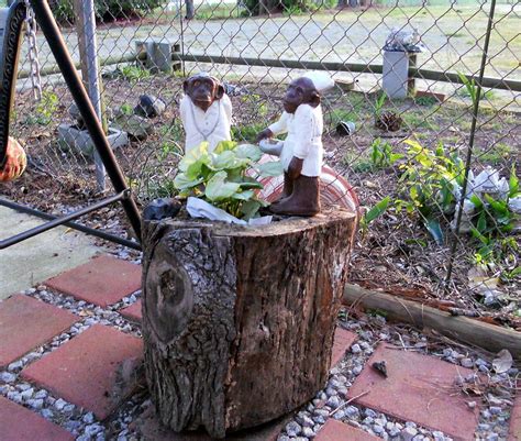 hollow log planter | Log planter, Planting flowers, Planters