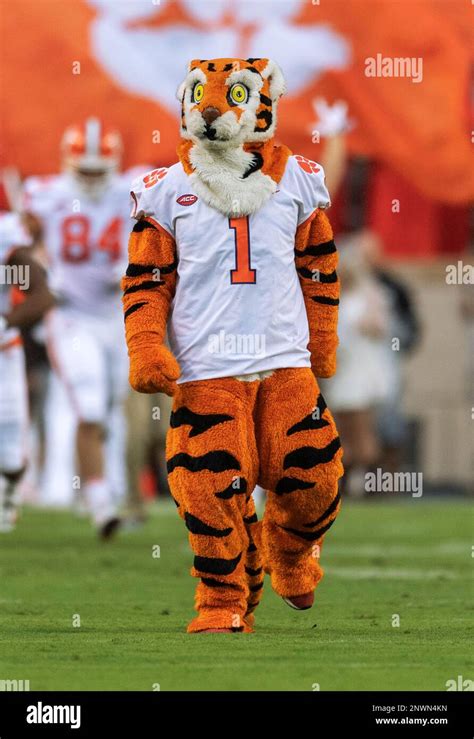 Clemson mascot The Tiger before an NCAA football game. Saturday ...