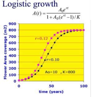 Analytical Models