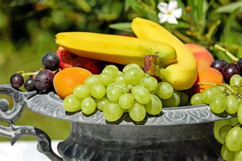 Fruit Bowl Shell - Free photo on Pixabay