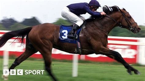 Horse racing: Galileo, the world-leading sire to champions such as ...