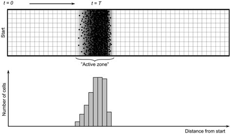 Principle of the dendrit growth model [31], [32]. The dendrite is... | Download Scientific Diagram