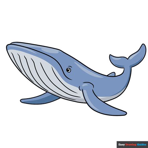 How to Draw a Blue Whale - Really Easy Drawing Tutorial