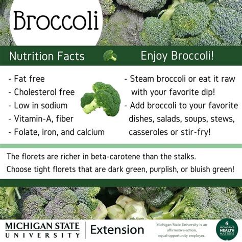 Simple tips to get the most out of your broccoli | Broccoli nutrition facts, Broccoli, Eating ...