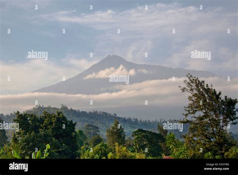 view to Mount Meru, Tanzania, Meru National Park Stock Photo - Alamy