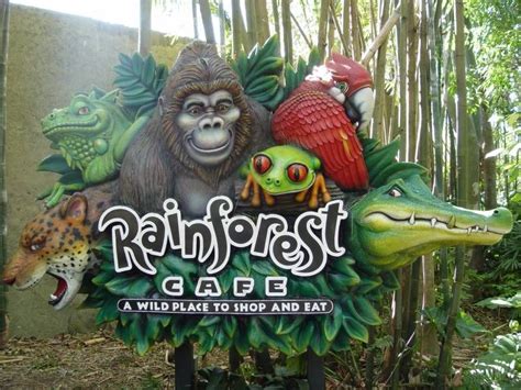 Rainforest Cafe at Animal Kingdom photo Walt Disney Resorts, Walt ...