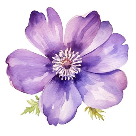 Watercolor Purple Flower, Watercolor, Flower, Flora PNG Transparent ...