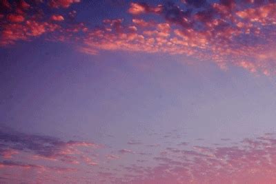 beach | GIF | PrimoGIF