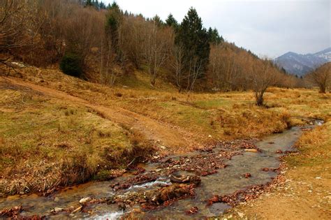 Hiking in Transylvania: Best Trails & Advice for Staying Safe