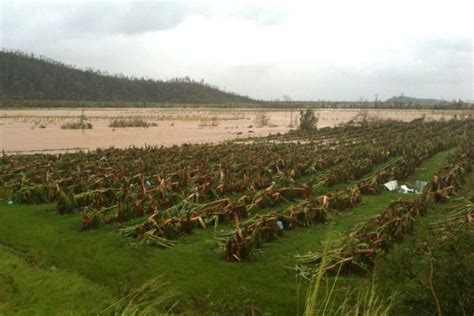 Cyclone Yasi and its Severe Destructive Effects on Australia