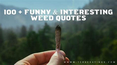 100 + Funny and Interesting Weed Quotes