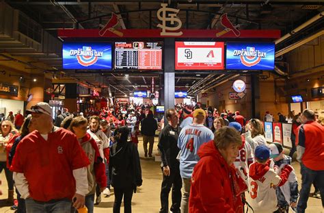 St. Louis Cardinals fans dish on the best things to eat at Busch Stadium