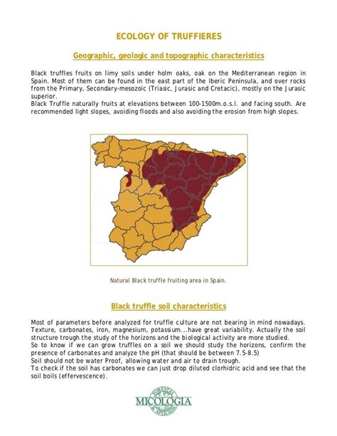 Truffle farming guide