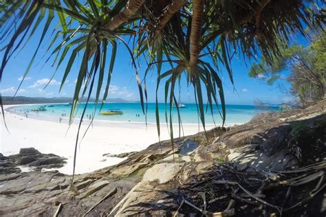 Whitsunday Island Excursion + Snorkeling from Airlie Beach