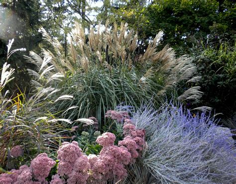 Ornamental Grasses, How to Prune: Practical Gardening Series