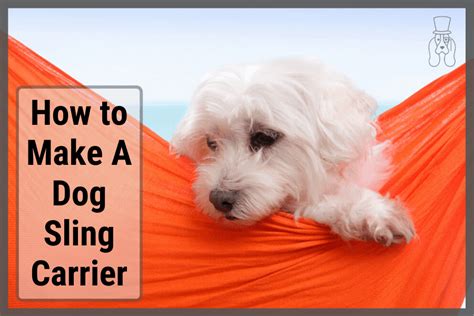 How to Make A Dog Sling Carrier & Save Your Money - SirDoggie.com