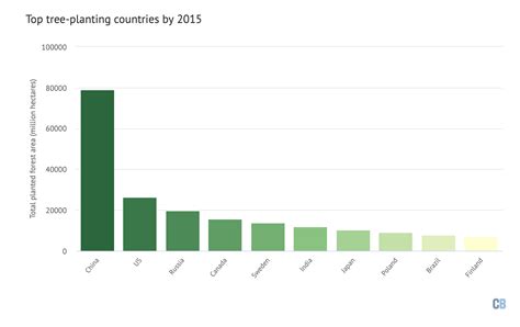 Mapped: Where ‘afforestation’ is taking place around the world - Resilience