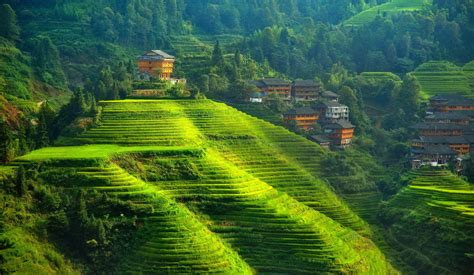 Banaue Rice Terraces. Ifugao, terraced field, landscape, hills, China HD wallpaper | Wallpaper Flare
