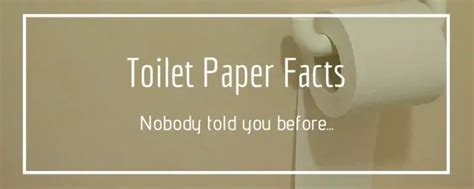 Toilet Paper Facts: You Never Heard Before | Shower Journal