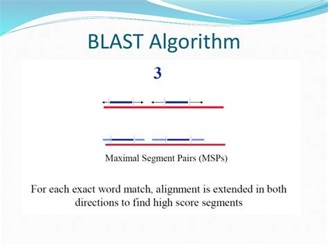 Blast Algorithm