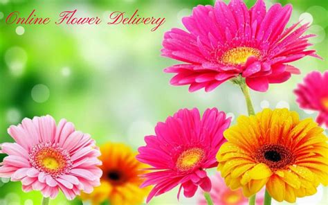 How to Select Reliable and Economical Flower Delivery in India