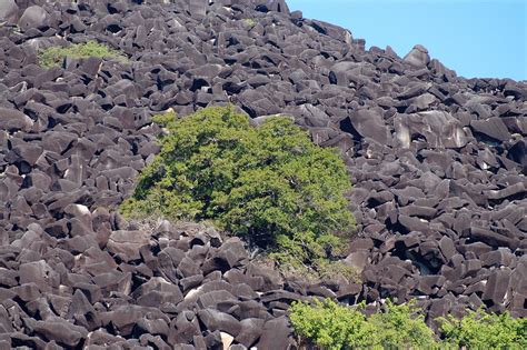 Black Mountain (Kalkajaka) National Park | From Wikipedia: B… | Flickr