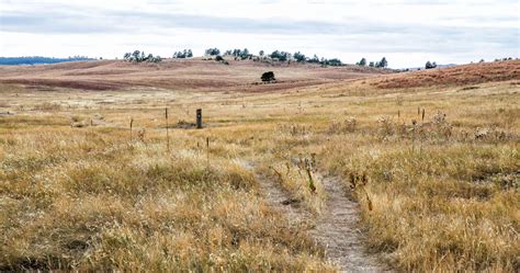 Wind Cave National Park – Earth Trekkers