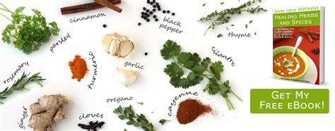 Healing Herbs and Spices by Jesse Lane Wellness - FREE eBook!