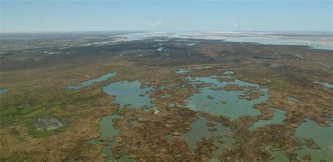 Colorado River Delta Restoration Program | NFWF