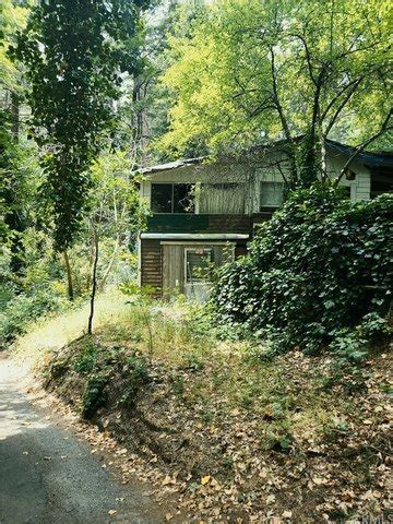 Cobb, CA Real Estate - Cobb Homes for Sale | realtor.com®