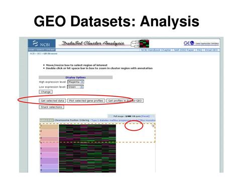 PPT - GEO—Gene Expression Omnibus PowerPoint Presentation, free download - ID:3819409