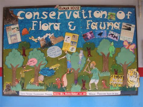 Conservation of Flora & Fauna: Conservation Of Flora And Fauna