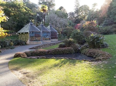 Botanical Gardens (Napier): UPDATED 2021 All You Need to Know Before You Go (with PHOTOS)