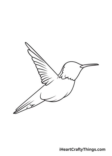 Hummingbird Drawing — How To Draw A Hummingbird Step By Step