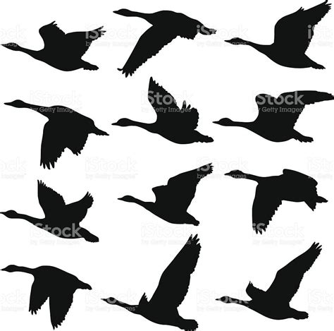 Flying Geese Silhouettes royalty-free stock vector art Bird Silhouette, Silhouette Vector ...