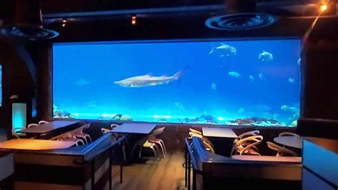 Sharks Underwater Grill® And Full Dining Menu SeaWorld Orlando | lupon ...