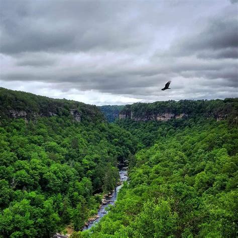 Adventure Awaits in Cherokee County, Alabama – Dang Travelers