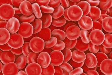 What Is a Healthy Hemoglobin Level? | livestrong