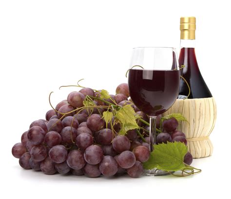 Compound found in grapes, red wine may help prevent memory loss - Vital Record