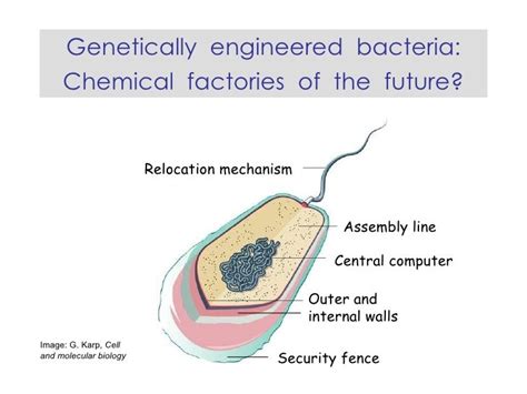 Genetically engineered bacteria: chemical factories of the future?