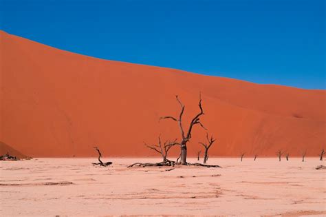 Free Images : landscape, nature, sand, sky, sunset, arid, desert, dune, blue, material ...