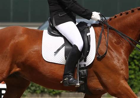 Correct Stirrup Length | vlr.eng.br