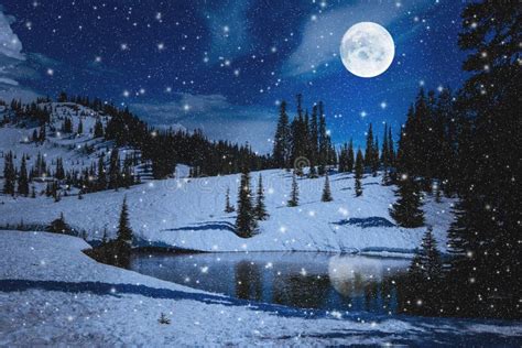 Night Scene with Evergreens Snow and Full Moon Stock Image - Image of evergreens, snowing: 251486327