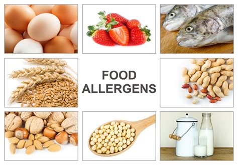 What Are the 8 Most Common Food Allergies? | Food Allergies Atlanta