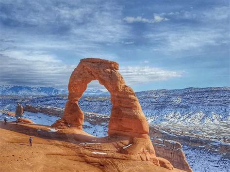 Best Bird Watching Locations in Utah 2020 - Wild Bird World