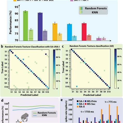 Contribution of the skin mechanoreceptors and muscle spindles in ...